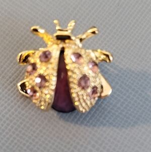 Gold and Purple Ladybug Brooch